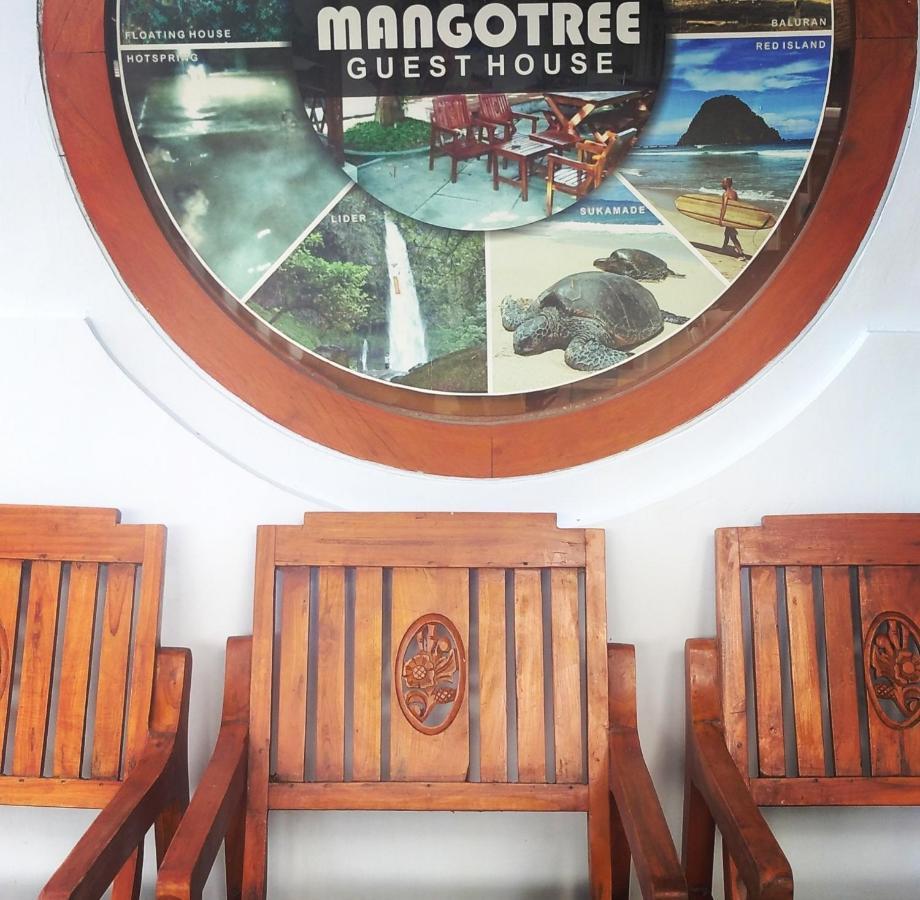 Mango Tree Homestay & Ijen Tour Banyuwangi  Kültér fotó